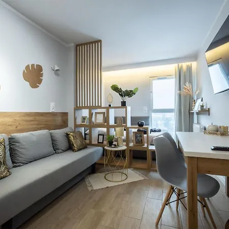 Apartment Wigurytower 66' Lodz